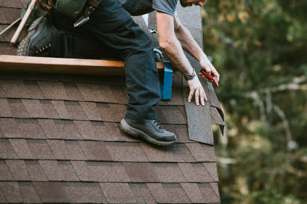 Best New Roof Installation  in Albany, KY